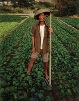 Farmer, Lamma Island, Hong Kong, 8x10